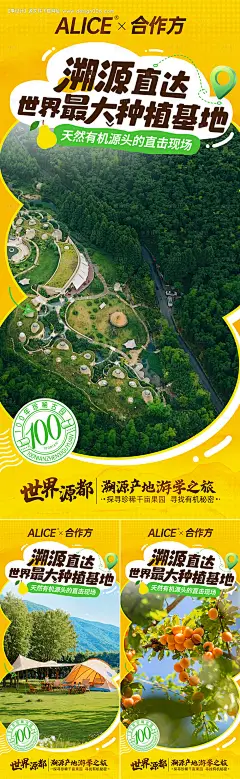 溯源活动海报-采灵感-cailinggan.com
