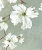 木槿花意_Jenri_Z__插画师作品_涂鸦王国gracg.com