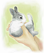 每天都在放空中的相册-再来100张关于兔子的插画图(持续更新)