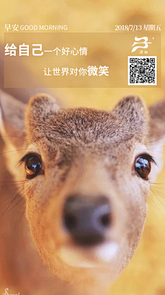 西木小栗子采集到早安
