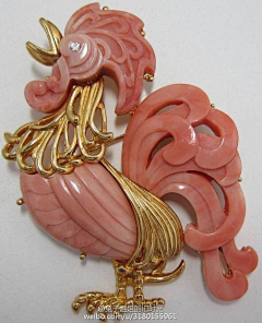 nSiASSC5采集到饰物
