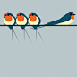 Swallows