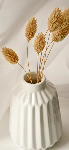 氢壁纸的微博