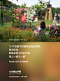 @小米电视 的个人主页 - 微博