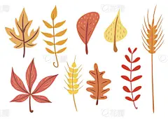 Simple flat autumn leaves set