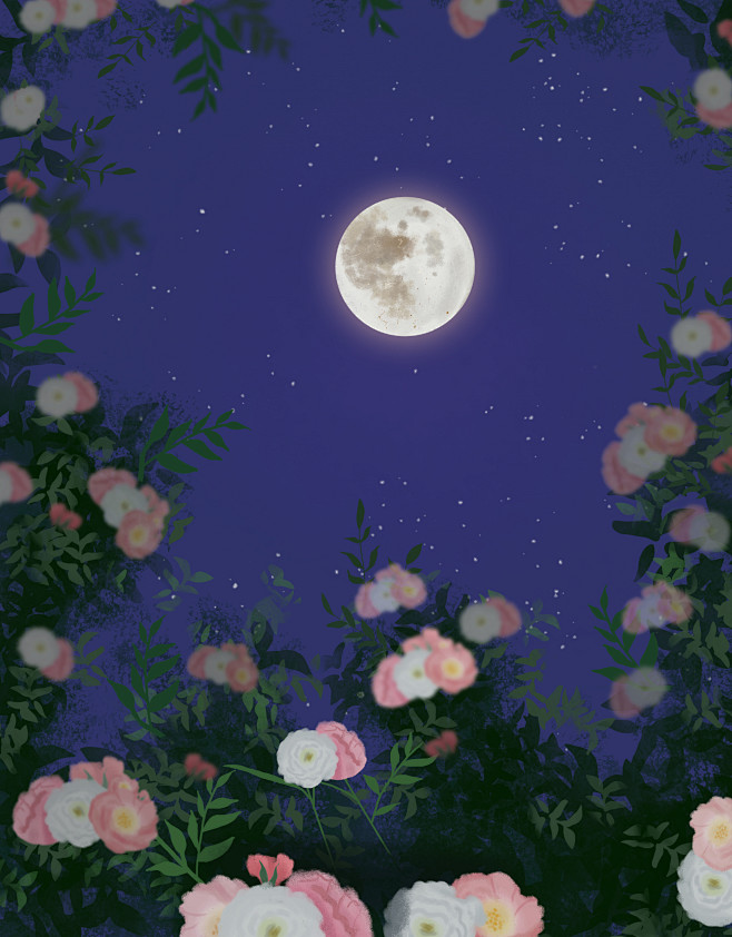夜晚蔷薇花的月光