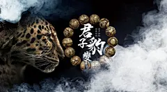 沐府世家老料沉香手串简洁中国风海报设计
君子藏起于身 随机而动