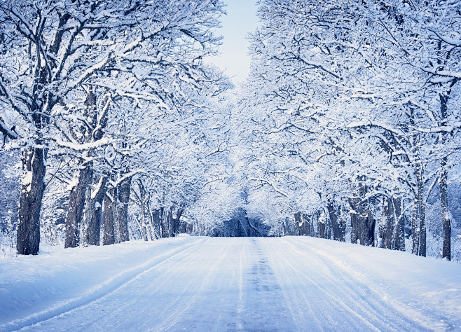 雪景 背景 雪花 冰雪