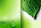 企业绿色产品手册背景 设计图片 免费下载 页面网页 平面电商 创意素材