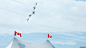 加拿大雪鸟特技飞行表演队的飞行表演照片