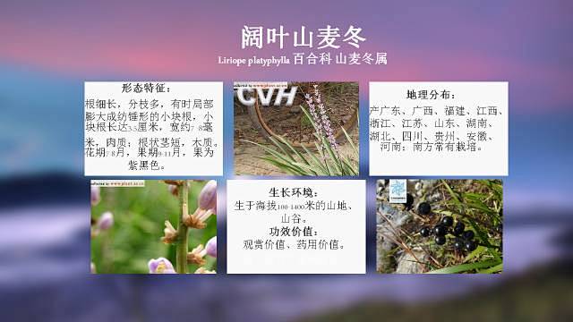 100种 · 常用园林植物，图文并茂 :...