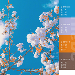 站酷ZCOOL采集到【配色】