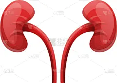 人,肾脏,计算机图标,动画片,高雅,白色,生物学,书,生病