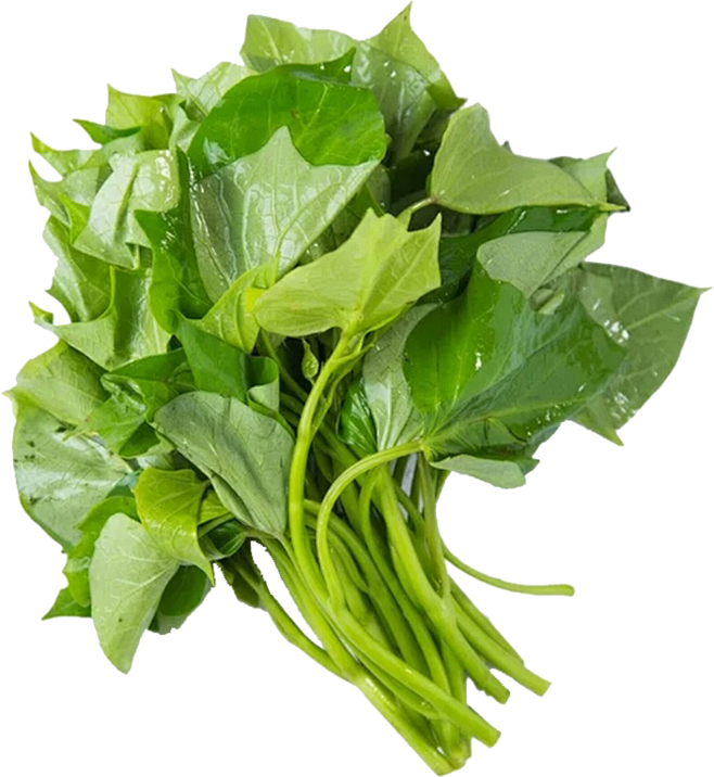 茼蒿