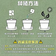 三八妇女节38女神节种子纸定制可发芽开花可讲解祝福贺卡片心愿卡-淘宝网