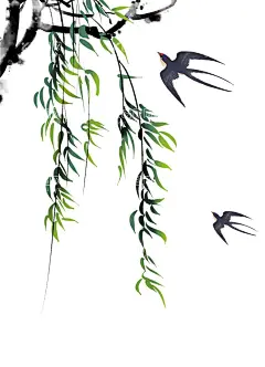 柳树   - 源文件下载【酷图网】柳树,柳条,杨柳,柳叶,垂柳,柳枝,手绘柳树,柳树图片,柳树水墨画,春天的柳树,树叶,绿叶,水墨柳树,柳树装饰,藤蔓,春天来了,清新,