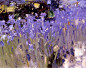 #绘画参考# 艺术家Bato Dugarzhapov ​​​​