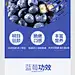 水果详情页合集 柠檬/蓝莓/凤梨/库尔勒香梨详情页设计