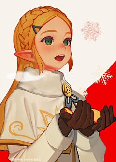 DDD00采集到zelda