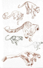 Claire Wendling's Cats猫科动物