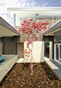 Inglewood Courtyard House