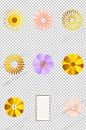 花朵png