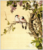 清代宫廷画师郎世宁工笔花鸟画 