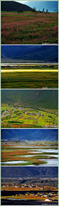 [纳帕海•伊拉草原] 纳帕海•伊拉草原位于云南香格里拉。纳帕海藏语称为“纳帕措”，汉语意为“森林背后的湖”，与依拉草原连为一体。那里是个季节性高山湖泊，也是云南省少有的亚热山沼泽和沼泽化草甸。