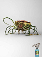 Watsons: Crab  漱口水广告：糟糕的口气～ （螃蟹+榴莲+葱～呦～）
