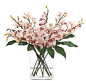 Natural+Decorations,+Inc.+-+Cymbidium+Aralia+Leaf+|++Glass+Rectangle: 