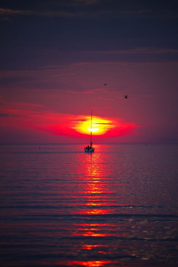 红色黎明芬兰湾