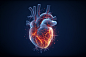 医学器官人类心跳心脏图虚拟图像图片