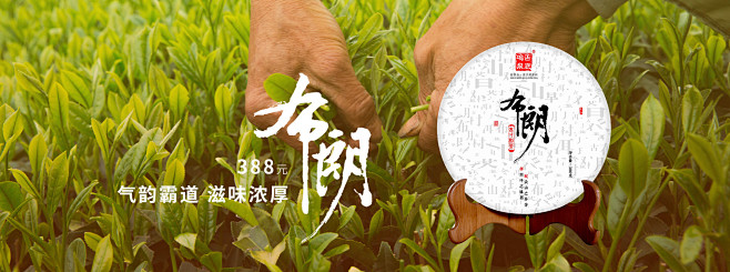 首页-甘田茶叶专营店-天猫Tmall.c...