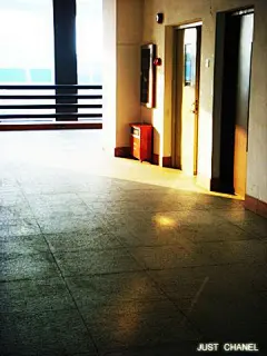 寿司仔  的插画