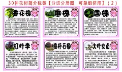 花树简介标签  - 源文件下载【酷图网】花树简介,标签,花树介绍,园林绿化,花树品种介绍,花树种植常识