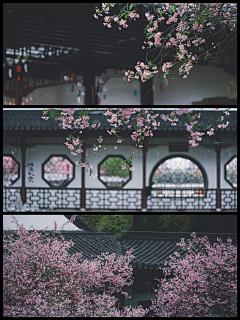 『沉眠』采集到景