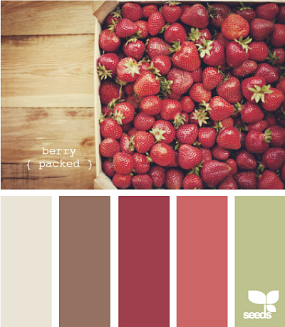 berry packed