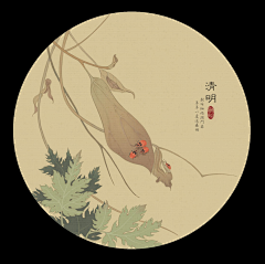 彼岸浮华L采集到a za tu