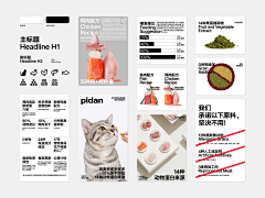 每天不加班采集到宠物