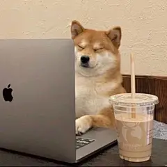 来尬上班的一些表情包，8-29已更新