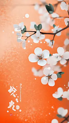立春节日节气海报背景模板素材 (43)