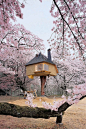 Fairy-tale Treehouse in Hokuto, Japan by Sjonnie van der Kist