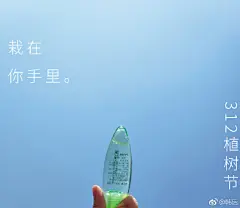 韩后-2019年3月12日植树节品牌借势海报