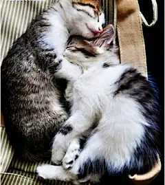 暖暖的萌萌哒～(≧▽≦)
