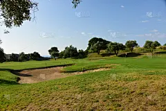 高尔夫球运动,坎波广场,家畜,自然,休闲活动,水平画幅,无人,夏天,草,运动
