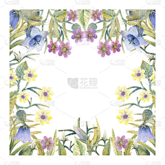 敏000采集到花