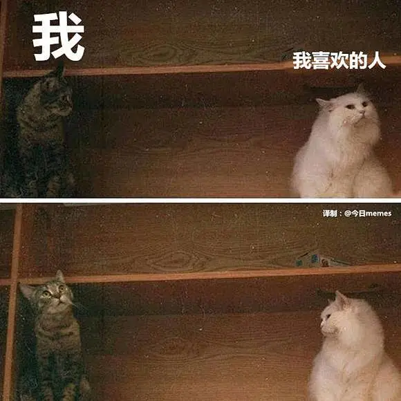 发点攒了一段时间的图_meme图吧_百度贴吧-花瓣网