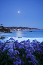 Laguna Moonrise – Laguna Beach, California 月出– 拉古纳海滩，加利福尼亚