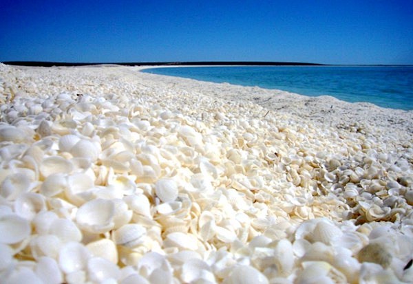 地球上最美好的10大海滩——贝壳海滩（鲨...