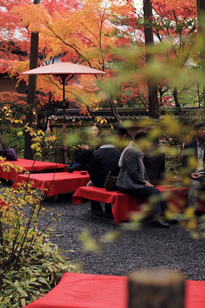 忘记呼吸，只因为京都的红叶。_途客们的旅...